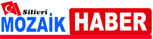 Silivri Mozaik Haber