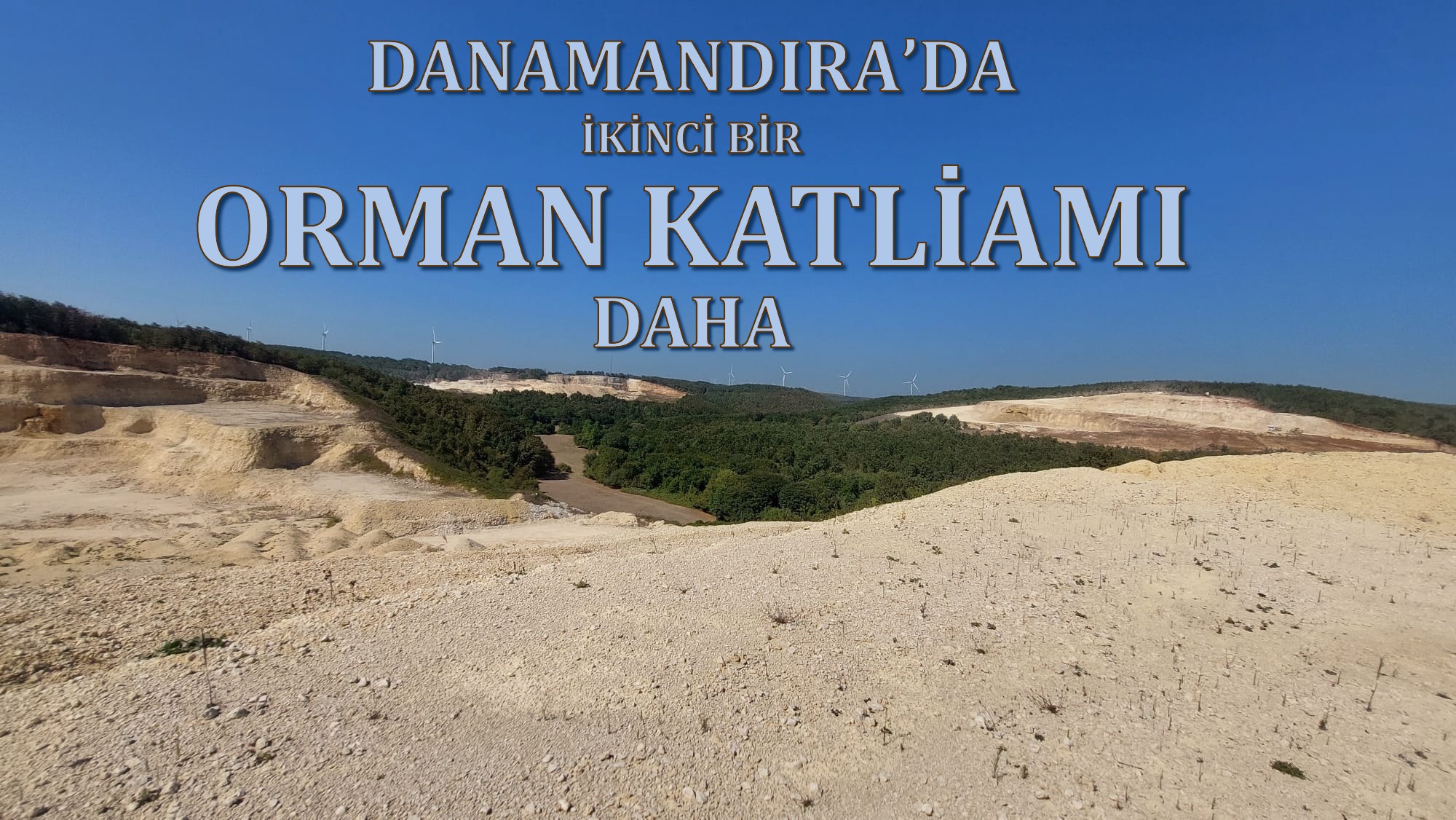 DANAMANDIRA’DA İKİNCİ BİR ORMAN KATLİAMI DAHA