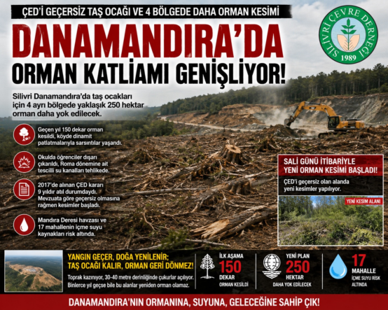 danamandıra