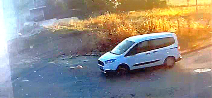 köpek video alıntısı-1