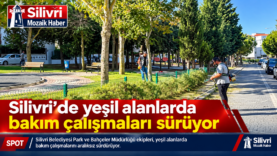 40df0c52-815f-4c17-86a6-e206968e608e